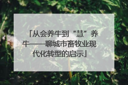 从会养牛到“慧”养牛——聊城市畜牧业现代化转型的启示