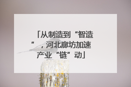 从制造到“智造”，河北廊坊加速产业“链”动