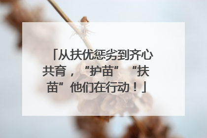 从扶优惩劣到齐心共育，“护苗”“扶苗”他们在行动！