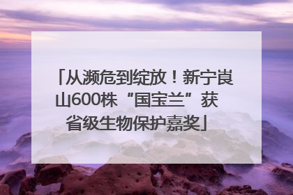 从濒危到绽放！新宁崀山600株“国宝兰”获省级生物保护嘉奖