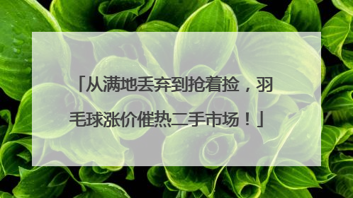 从满地丢弃到抢着捡，羽毛球涨价催热二手市场！