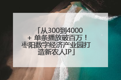 从300到4000+ 单条播放破百万！枣阳数字经济产业园打造新农人IP