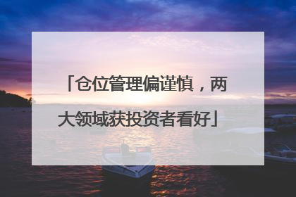 仓位管理偏谨慎，两大领域获投资者看好