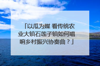 以瓜为媒 看传统农业大镇石莲子镇如何唱响乡村振兴协奏曲？