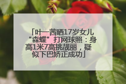 叶一茜晒17岁女儿“森蝶”打网球照：身高1米7高挑靓丽，疑似下巴矫正成功
