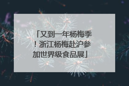 又到一年杨梅季！浙江杨梅赴沪参加世界级食品展