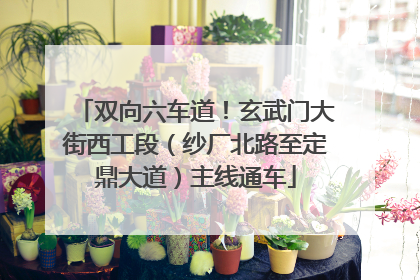 双向六车道！玄武门大街西工段（纱厂北路至定鼎大道）主线通车