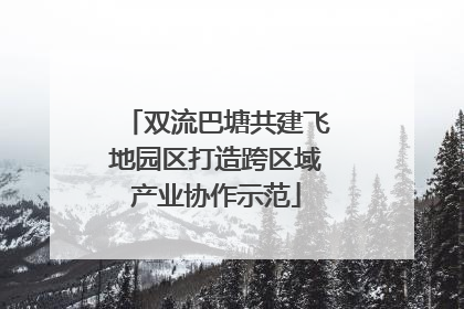 双流巴塘共建飞地园区打造跨区域产业协作示范