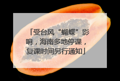 受台风“蝴蝶”影响，海南多地停课，复课时间另行通知