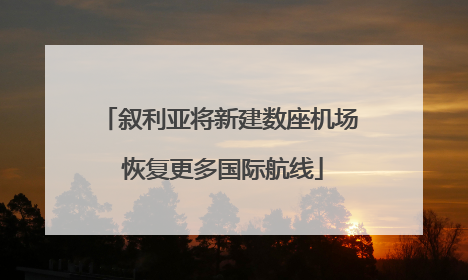 叙利亚将新建数座机场 恢复更多国际航线