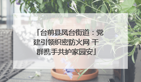 台前县凤台街道：党建引领织密防火网 干群携手共护家园安