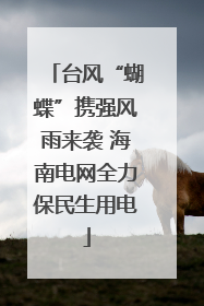 台风“蝴蝶”携强风雨来袭 海南电网全力保民生用电