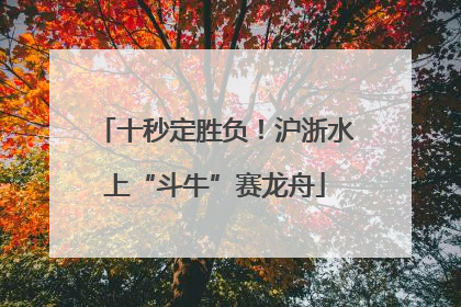 十秒定胜负！沪浙水上“斗牛”赛龙舟