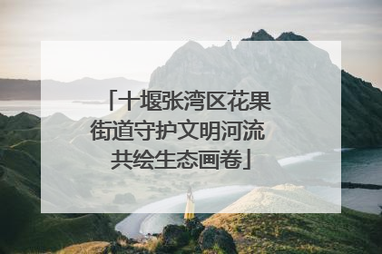 十堰张湾区花果街道守护文明河流 共绘生态画卷