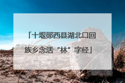 十堰郧西县湖北口回族乡念活“林”字经