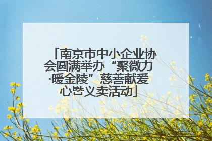 南京市中小企业协会圆满举办“聚微力·暖金陵”慈善献爱心暨义卖活动