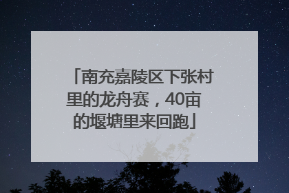 南充嘉陵区下张村里的龙舟赛，40亩的堰塘里来回跑