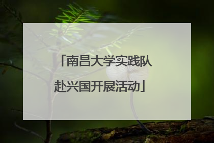 南昌大学实践队赴兴国开展活动