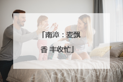 南漳：麦飘香 丰收忙