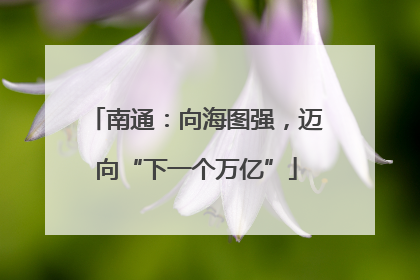 南通：向海图强，迈向“下一个万亿”