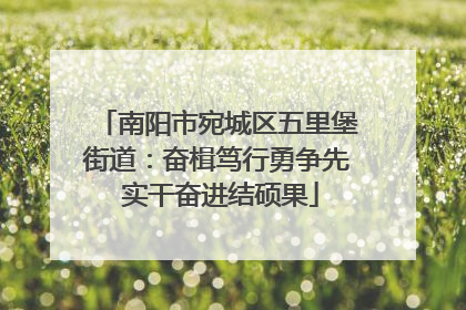南阳市宛城区五里堡街道：奋楫笃行勇争先 实干奋进结硕果