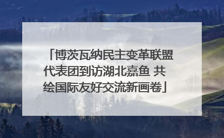 博茨瓦纳民主变革联盟代表团到访湖北嘉鱼 共绘国际友好交流新画卷