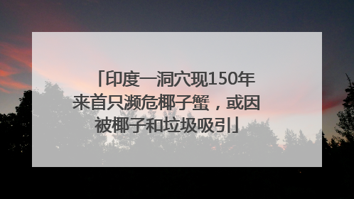印度一洞穴现150年来首只濒危椰子蟹，或因被椰子和垃圾吸引