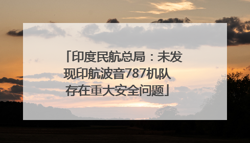 印度民航总局：未发现印航波音787机队存在重大安全问题