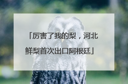 厉害了我的梨，河北鲜梨首次出口阿根廷