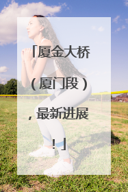 厦金大桥（厦门段），最新进展！
