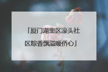 厦门湖里区濠头社区粽香飘溢暖侨心