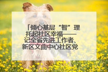 倾心基层“智”理 托起社区幸福——记全省先进工作者、新区文曲中心社区党委书记董世弘