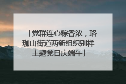 党群连心粽香浓，珞珈山街道两新组织别样主题党日庆端午
