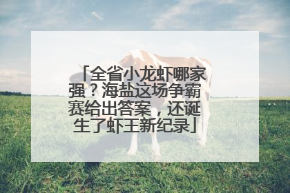全省小龙虾哪家强？海盐这场争霸赛给出答案，还诞生了虾王新纪录