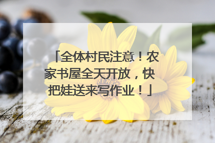全体村民注意！农家书屋全天开放，快把娃送来写作业！