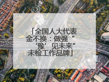 全国人大代表金不换：做强“‘豫’见未来”未检工作品牌