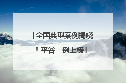 全国典型案例揭晓！平谷一例上榜