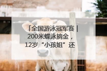 全国游泳冠军赛｜200米蝶泳摘金，12岁“小孩姐”还能制造多少惊喜？