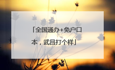 全国通办+免户口本，武昌打个样