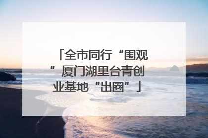 全市同行“围观”厦门湖里台青创业基地“出圈”