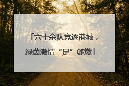 六十余队竞逐港城，绿茵激情“足”够燃