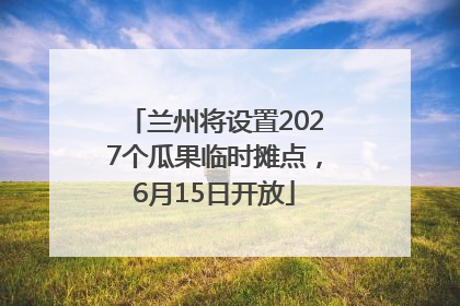 兰州将设置2027个瓜果临时摊点，6月15日开放