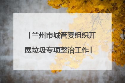 兰州市城管委组织开展垃圾专项整治工作