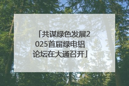 共谋绿色发展2025首届绿电铝论坛在大通召开