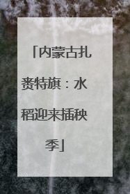 内蒙古扎赉特旗：水稻迎来插秧季