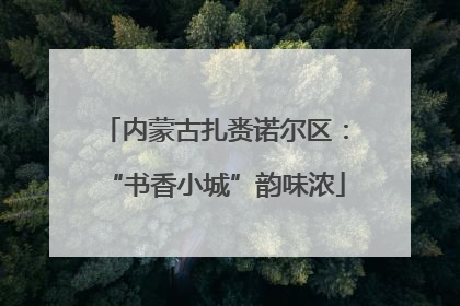 内蒙古扎赉诺尔区：“书香小城”韵味浓