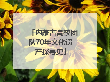 内蒙古高校团队70年文化遗产探寻史