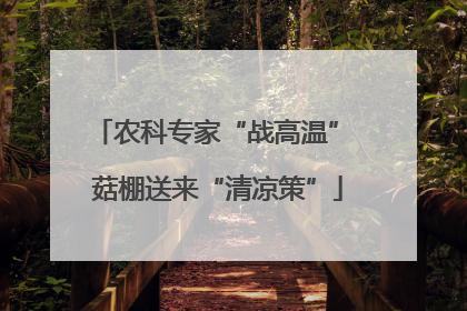 农科专家“战高温” 菇棚送来“清凉策”