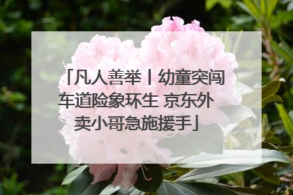 凡人善举丨幼童突闯车道险象环生 京东外卖小哥急施援手