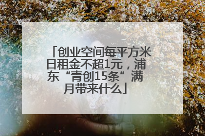 创业空间每平方米日租金不超1元，浦东“青创15条”满月带来什么